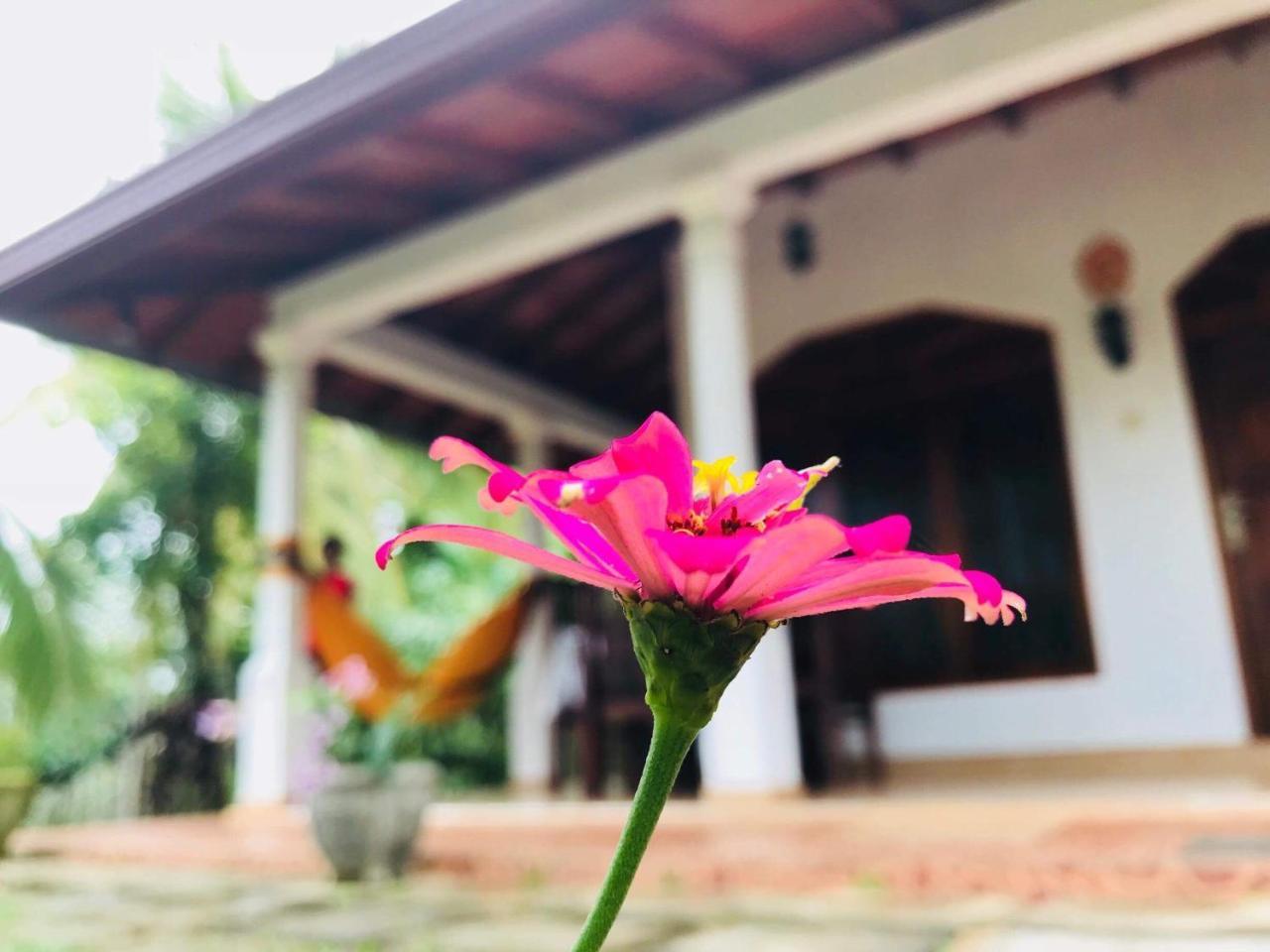 Kawshan Home Stay Dikwella Exterior foto